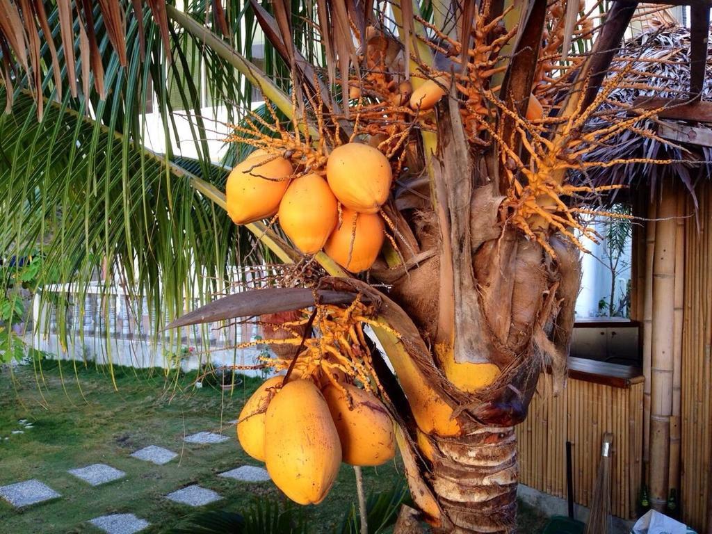 Oslob Garden Stay Beach Resort ภายนอก รูปภาพ